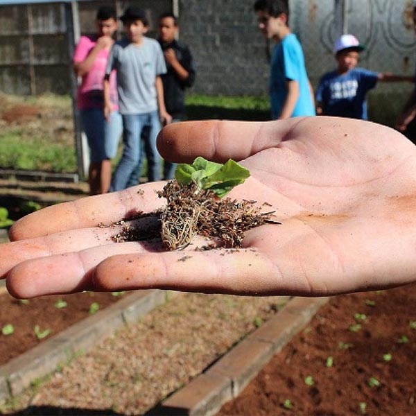 Sindicato Rural Patronal abre inscrições para Programa Jovem Agricultor do Futuro