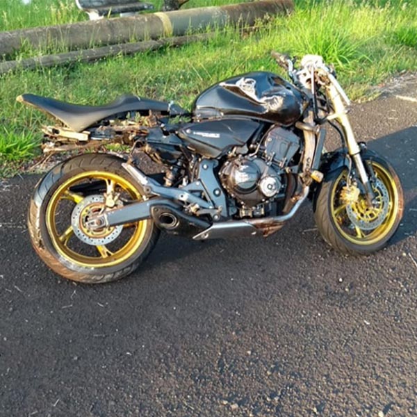 Motociclista fica ferido após atropelar capivara em rodovia de Maracaí