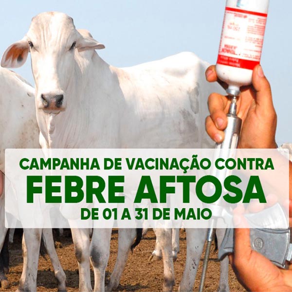 Vacinação contra Febre Aftosa é realizada até 31 de maio