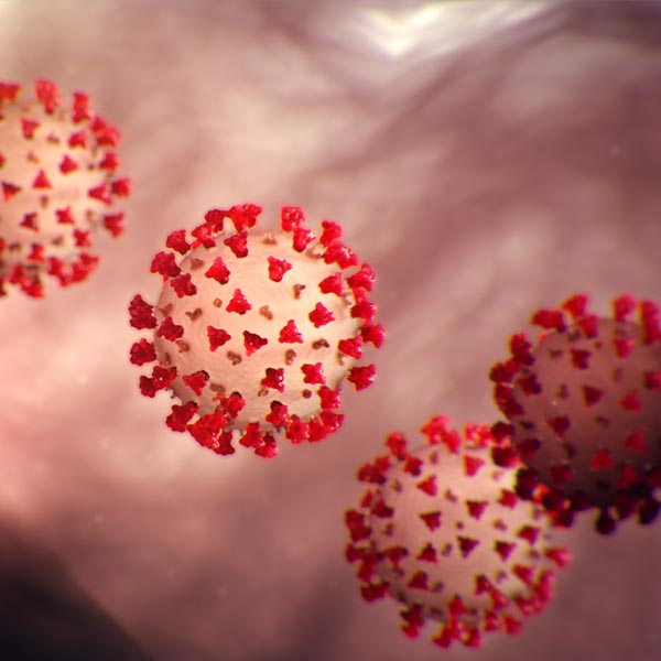 Boletim Epidemiológico deste sábado, 20, divulga 28 casos confirmados de Covid-19 em Paraguaçu