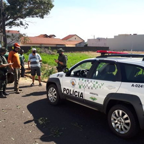 Paraguaçuense é abordado pela Polícia Florestal e apresenta autorização para corte de árvore
