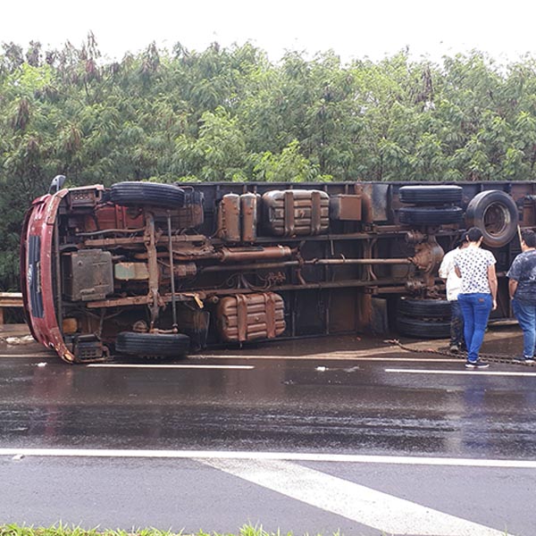 Caminhão carregado com mais de 30 bezerros tomba em rodovia de Paraguaçu