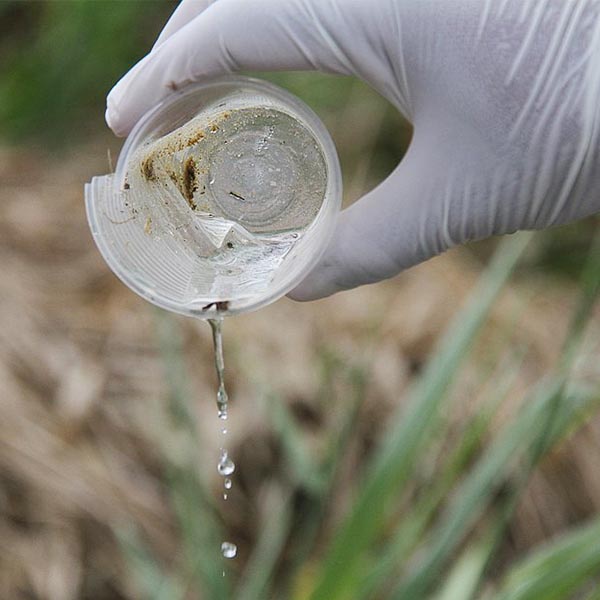 O inverno começa neste sábado, mas a dengue ainda faz vítimas em Paraguaçu