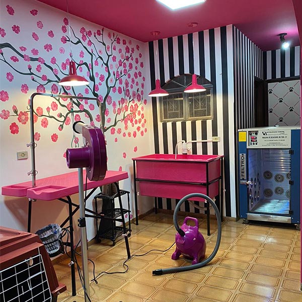 Pet Spa Banho e Hotel traz o que há de melhor para o seu animal de estimação em Paraguaçu Paulista