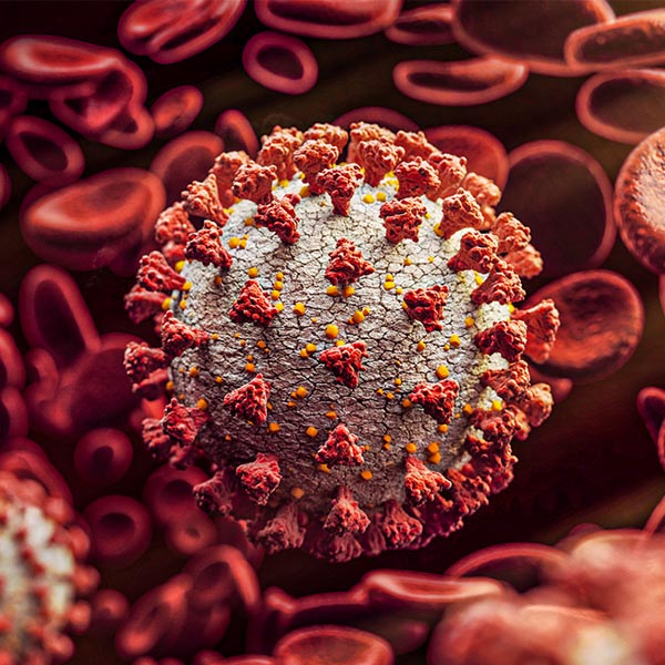 Novo boletim epidemiológico mostra que Paraguaçu tem 265 casos positivos de coronavírus