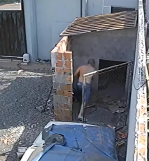 Pit bull é morto a tijoladas após pular muro e brigar com cachorro do vizinho em Assis
