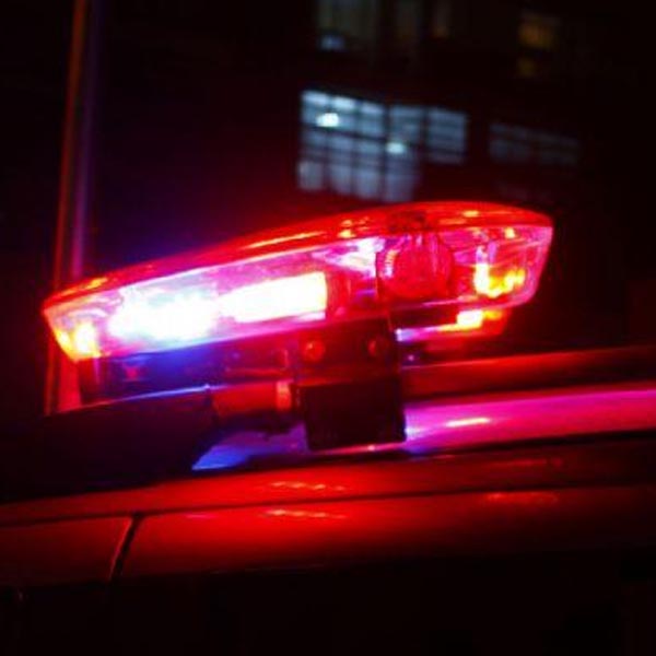 Pessoas são presas ao serem flagradas com novilha furtada sendo vendida para açougueiro