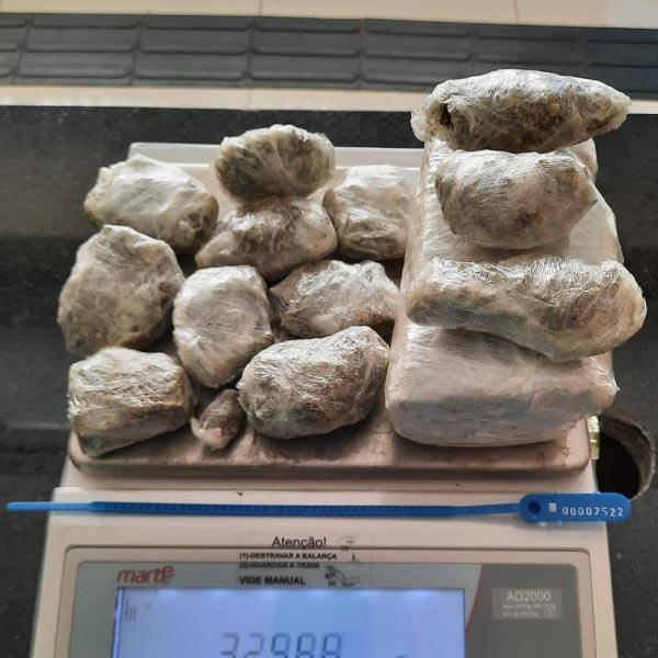 Grande quantidade de maconha é apreendida durante operação conjunta em Paraguaçu