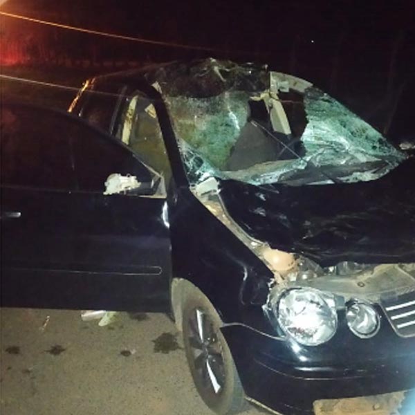 Cavalo na pista causa grave acidente em Paraguaçu Paulista