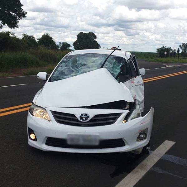 Carro e caminhão se envolvem em acidente na rodovia Paraguaçu/Assis