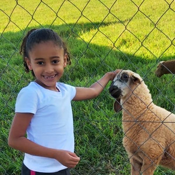 Criança vítima de acidente não resiste e morre no HC em Marília