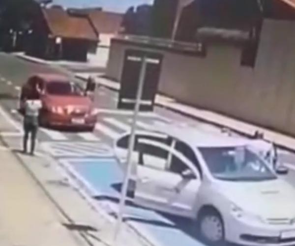 Polícia investiga crime de maus-tratos após mulher abandonar filhote de cão em Assis