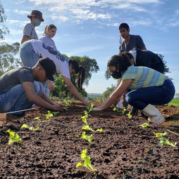 Curso Jovem Agricultor do Futuro está com inscrições abertas