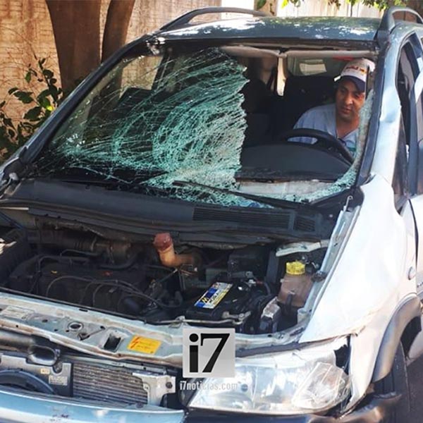 Paraguaçuenses atropelam e matam cavalo solto na pista