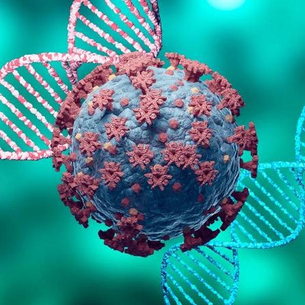 Variante que pode provocar reinfecção cresce na região