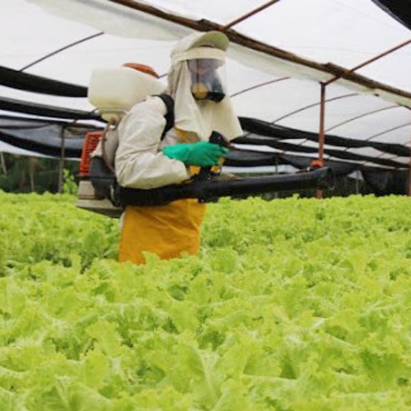 Agroterenas oferece curso gratuito sobre uso correto e seguro de agrotóxico