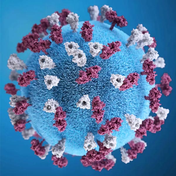 Prefeitura de Paraguaçu divulga novo boletim epidemiológico sobre a Covid-19