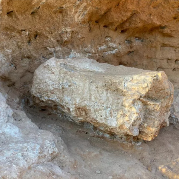 Descoberta de fóssil de dinossauro paralisa obras de duplicação de rodovia em Marília