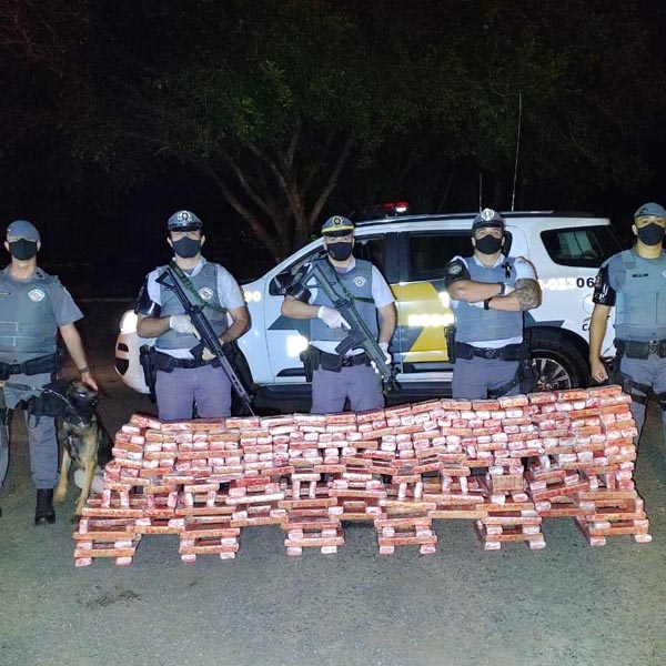 Polícia apreende mais de 170 kg de maconha em fundo falso de veículo, em Paraguaçu