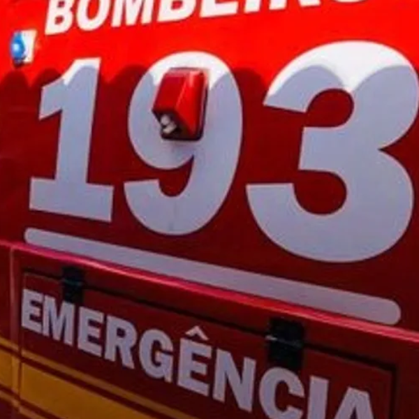 Motorista fica ferido ao atropelar bois na rodovia de Paraguaçu Paulista