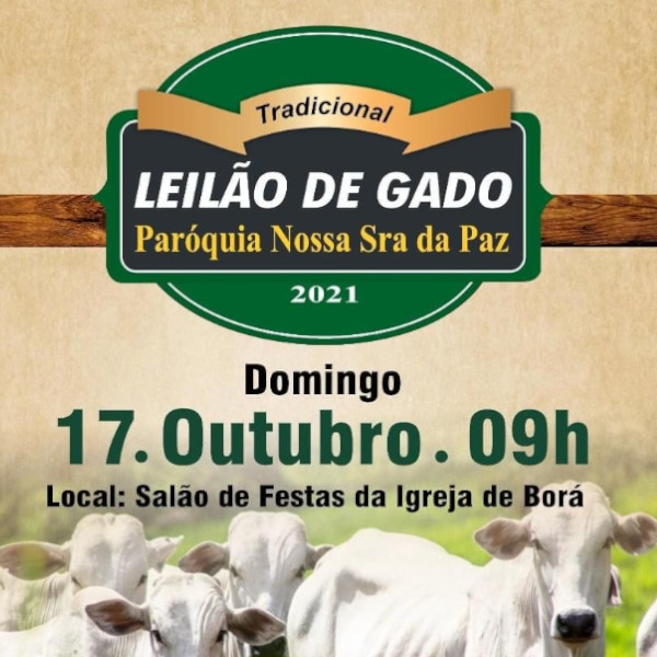 Tradicional leilão de gado da Paróquia Nossa Senhora da Paz acontece no próximo domingo