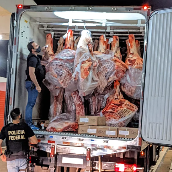 PF encontra cocaína no teto de carroceria de caminhão refrigerado na rodovia Raposo Tavares