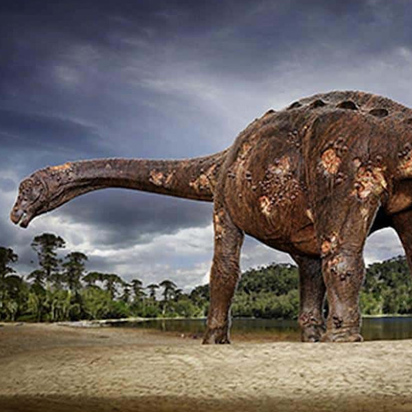 Fósseis de dinossauro encontrados em obra em Marília podem ter 65 milhões de anos