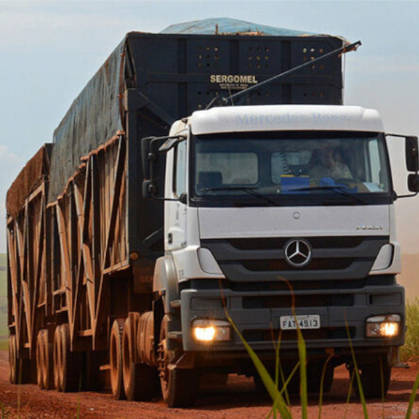 Cocal promove formação gratuita de motorista canavieiro