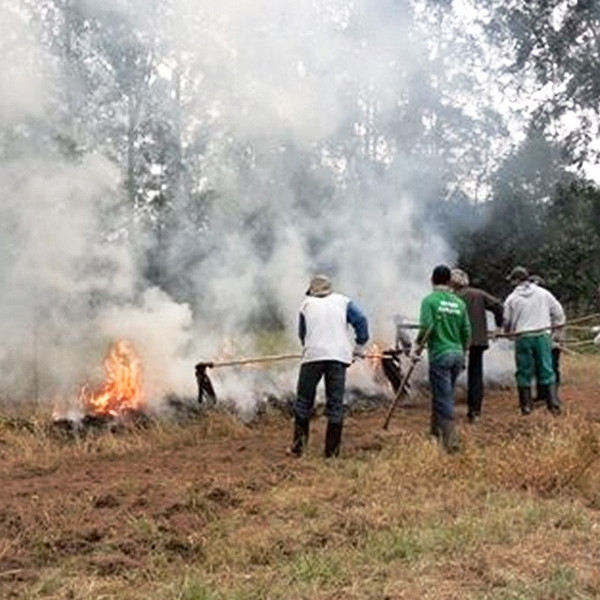 Agroterenas e Sindicato Rural Patronal oferecem cursos gratuitos em Paraguaçu 