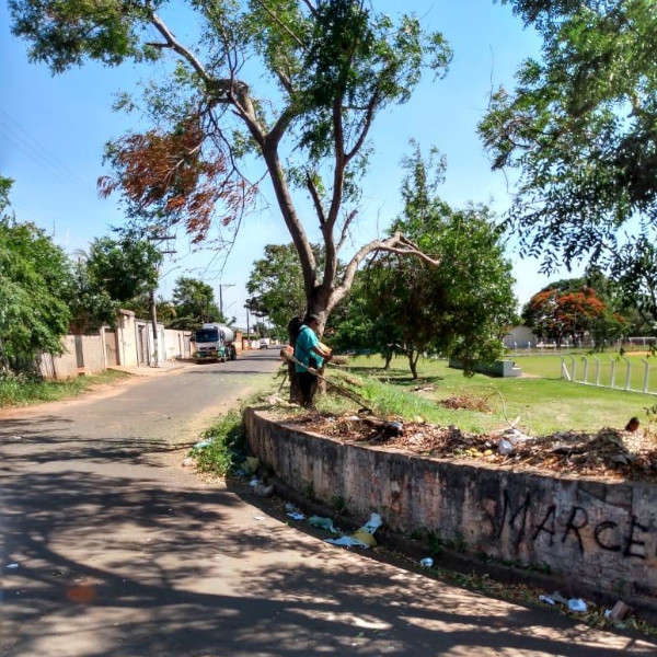 Plimec recebe manutenção e limpeza