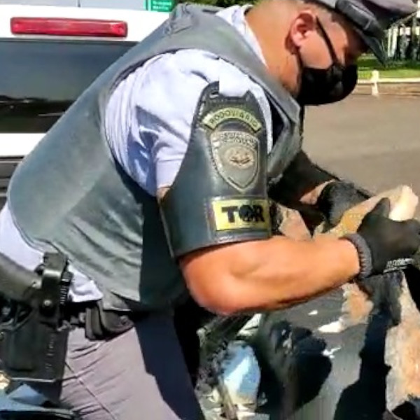 Era crack a droga apreendida pela Polícia Rodoviária em Paraguaçu