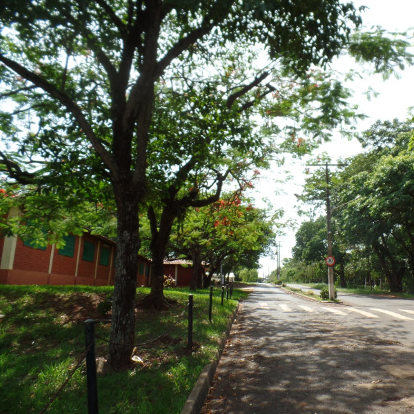 ETEC de Paraguaçu prorroga prazo de inscrições para Vestibulinho 2022