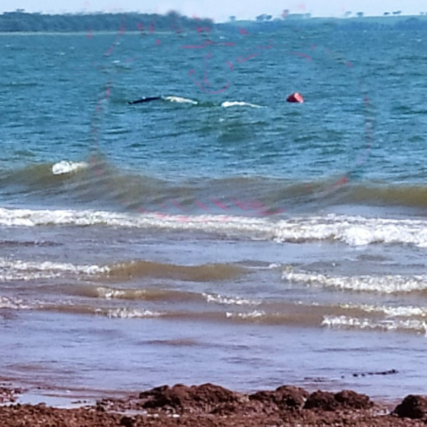 Homem morre afogado após barco virar no Rio Tietê; filho conseguiu se salvar