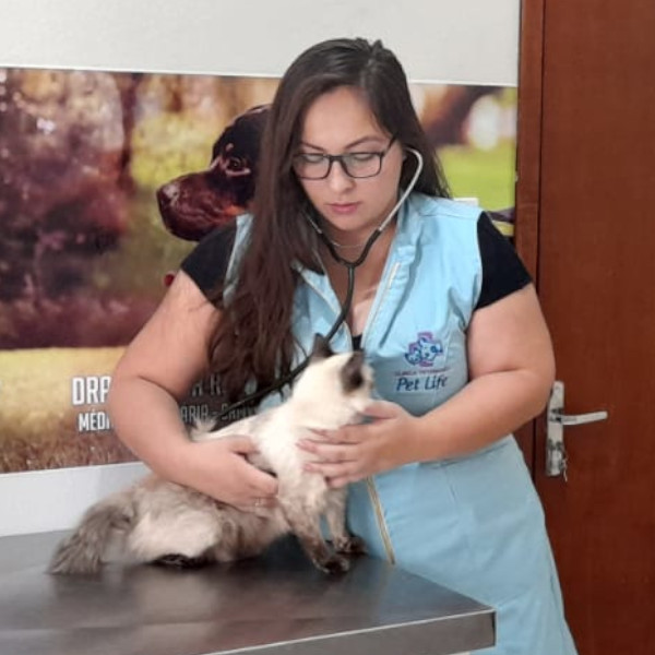 Novembro Azul: cães e gatos também podem apresentar câncer de próstata 