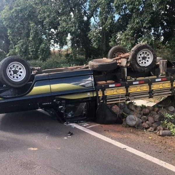 Caminhonete carregada de mudas capota em rodovia 