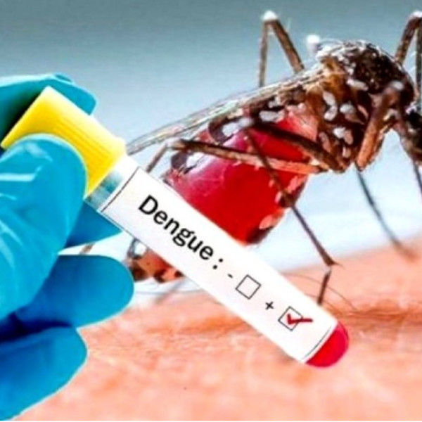 Casos de dengue aumentam em Paraguaçu