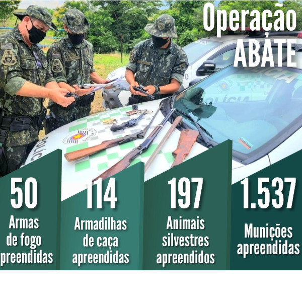 Polícia Ambiental resgata cerca de 200 animais silvestres durante Operação Abate