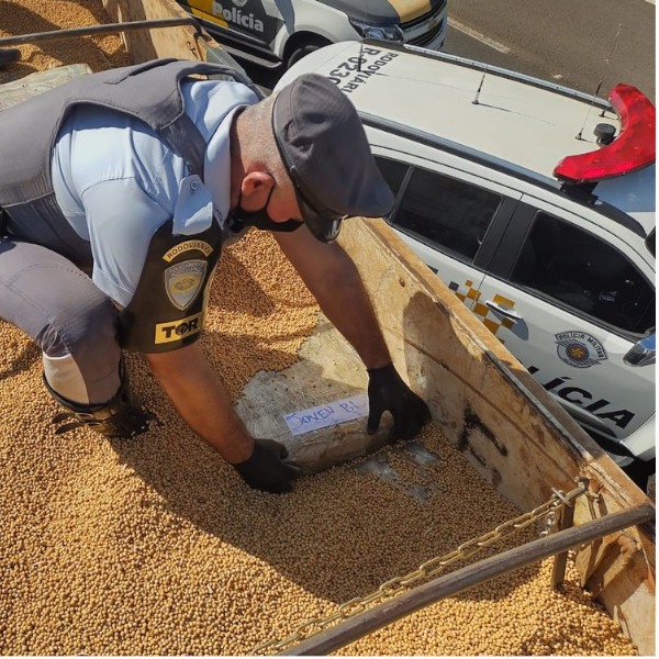 Sete toneladas de maconha são apreendidas no meio de carga de soja em carreta