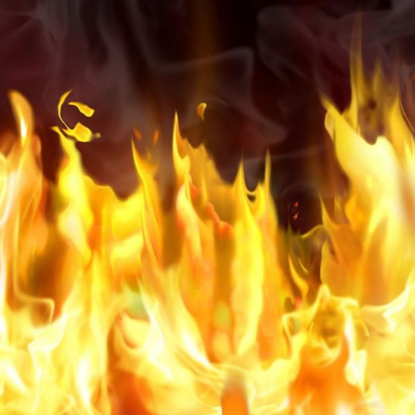 Idosa e dois cachorros morrem carbonizados em incêndio