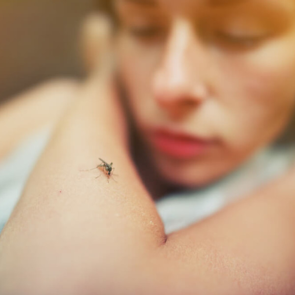 Saúde alerta para o aumento de casos de dengue em Paraguaçu
