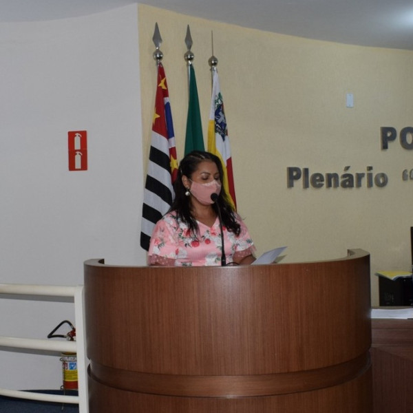 Vereadores homenageiam escritora paraguaçuense por lançamento de livro