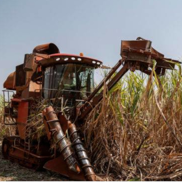 Agroterenas de Paraguaçu abre mais duas vagas de emprego