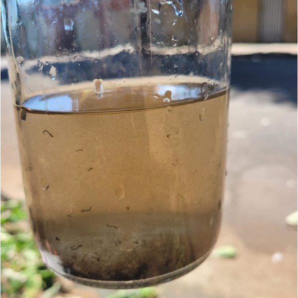 Agentes de endemias retornam a áreas visitadas e encontram criadores do Aedes