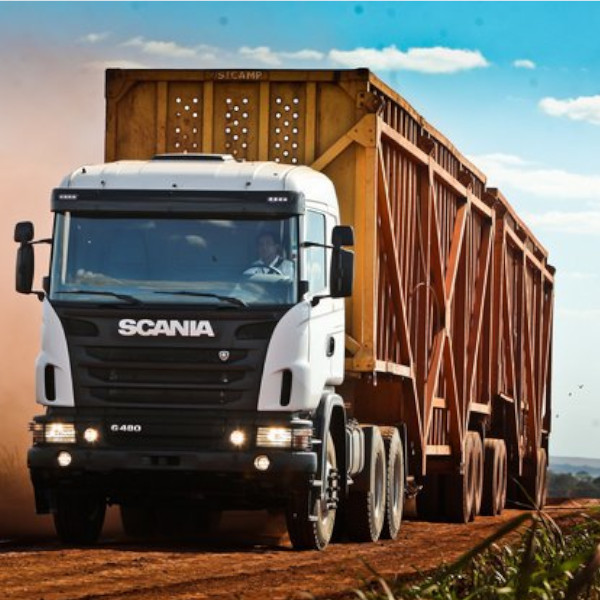 Cocal abre vaga de emprego para Paraguaçu Paulista