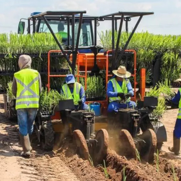 Agroterenas está contratando