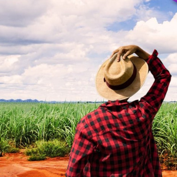 Cocal, unidade de Paraguaçu, tem vaga de emprego