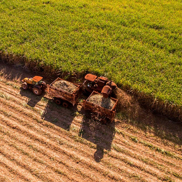 Agroterenas tem vaga de emprego