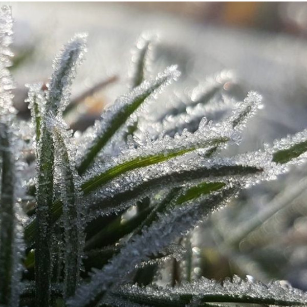 Paraguaçu poderá ter queda brusca de temperatura com geada na próxima semana