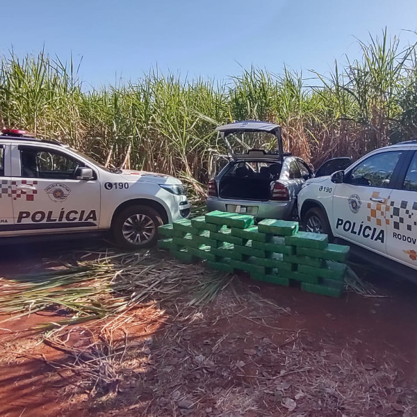 Polícia Rodoviária apreende grande quantidade de maconha após perseguição