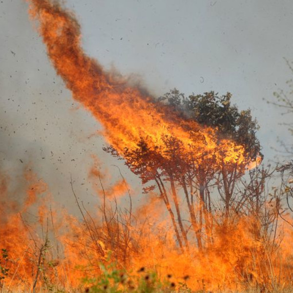 Queimadas estão suspensas em todo o território nacional por 4 meses